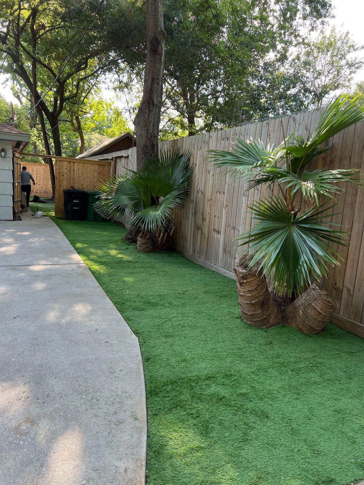 Turf walkway framed by palm trees along a wood privacy fence